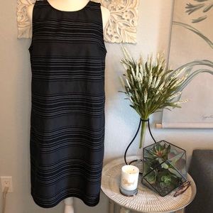 Loft Navy/Black Cotton Sleeveless Dress Large